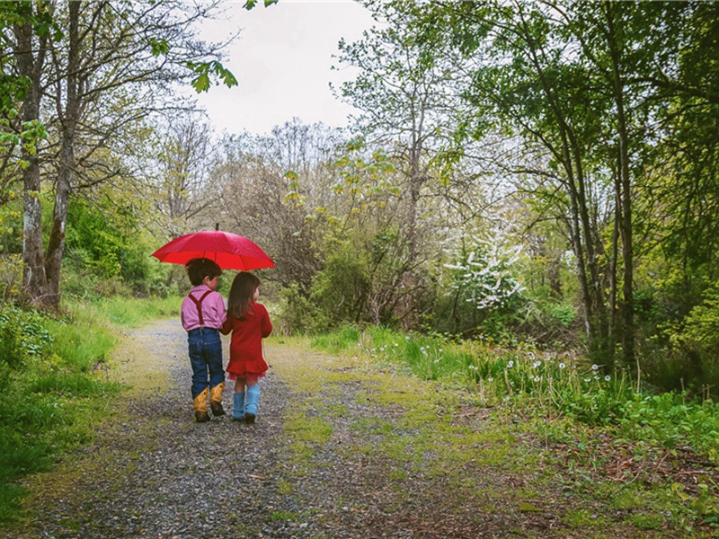 旱地造句,用旱地怎么造句子(164句)