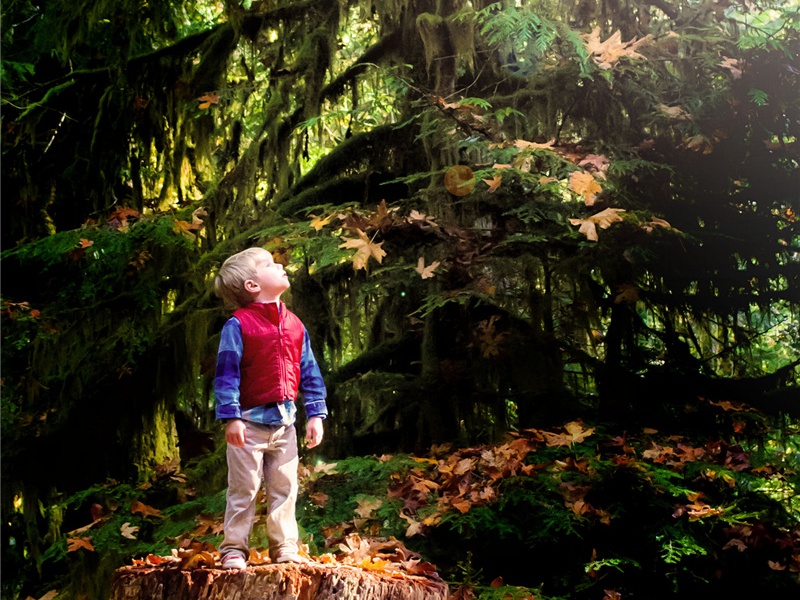 上海话造句,用上海话怎么造句子(56句)