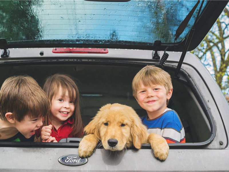 睡梦中造句,用睡梦中怎么造句子(148句)