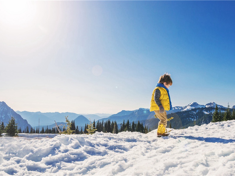 竞选活动造句,用竞选活动怎么造句子(56句)
