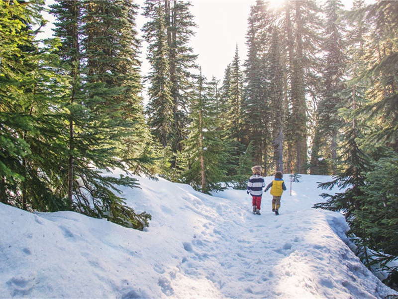 溃烂造句,用溃烂怎么造句子(62句)