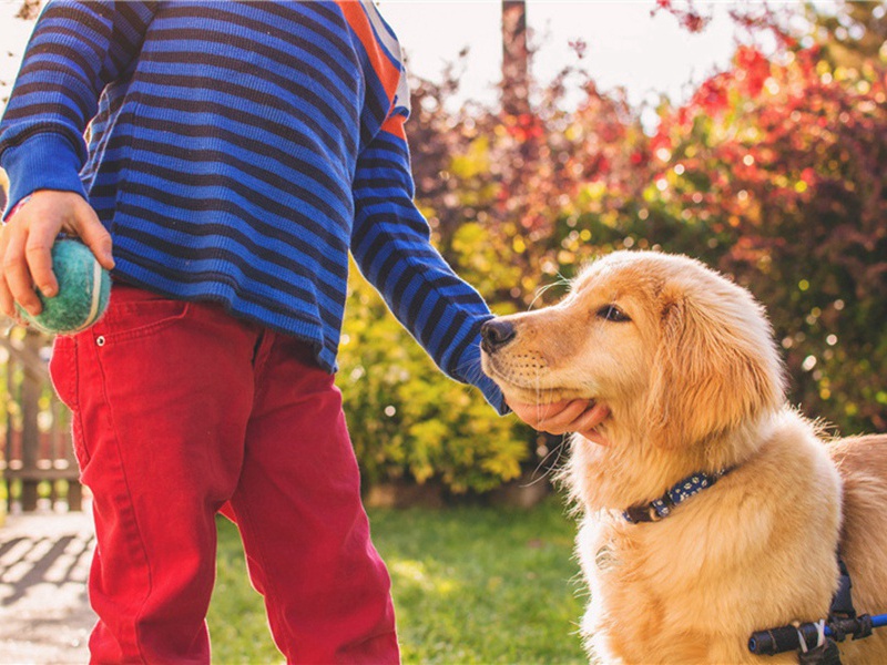 树胶造句,用树胶怎么造句子(27句)