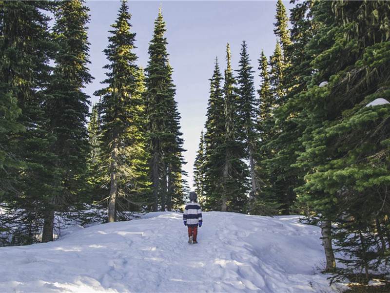 加生造句,用加生怎么造句子(92句)