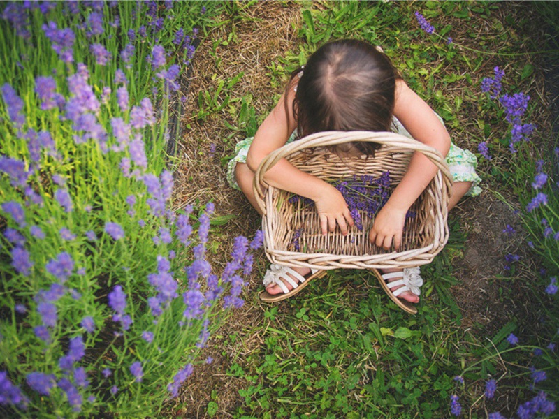 博大造句,用博大怎么造句子(180句)