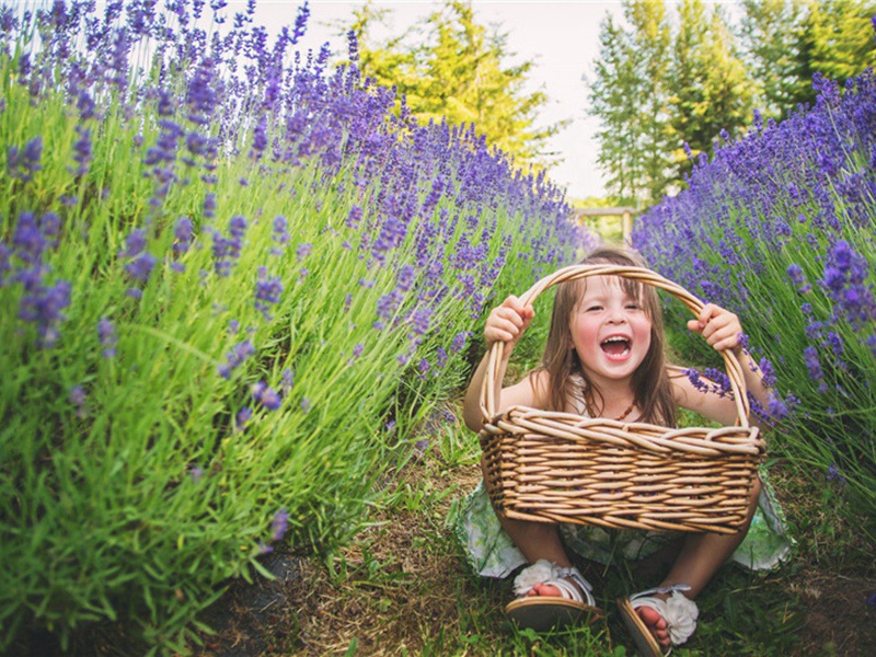 铭记造句,用铭记怎么造句子(158句)