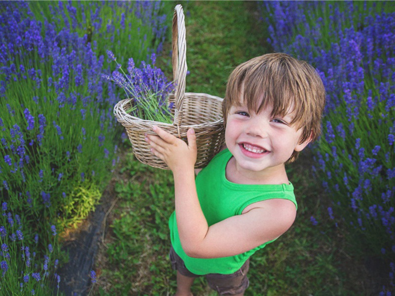 无情造句,用无情怎么造句子(180句)