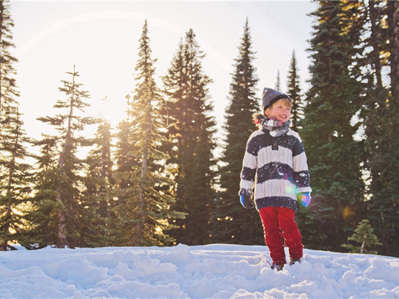 共产造句,用共产怎么造句子(173句)