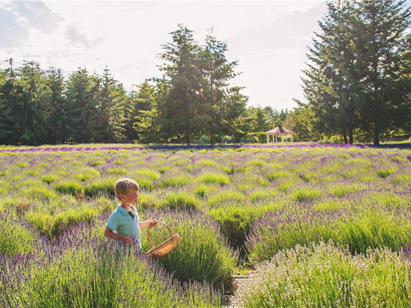 刀客造句,用刀客怎么造句子(43句)