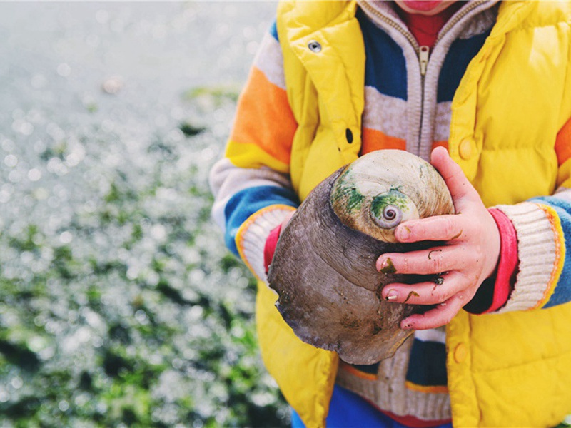 一又造句,用一又怎么造句子(29句)