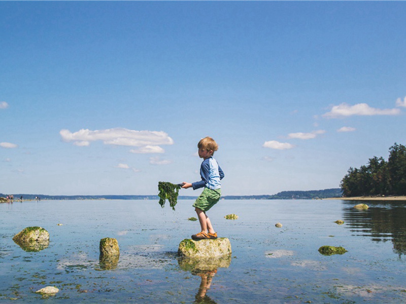 向明造句,用向明怎么造句子(89句)