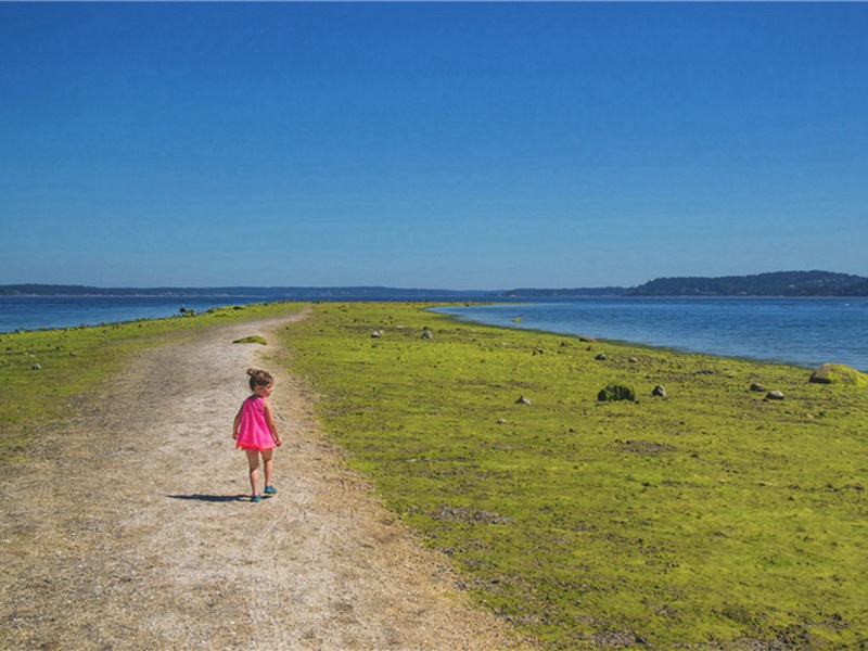 死于造句,用死于怎么造句子(178句)