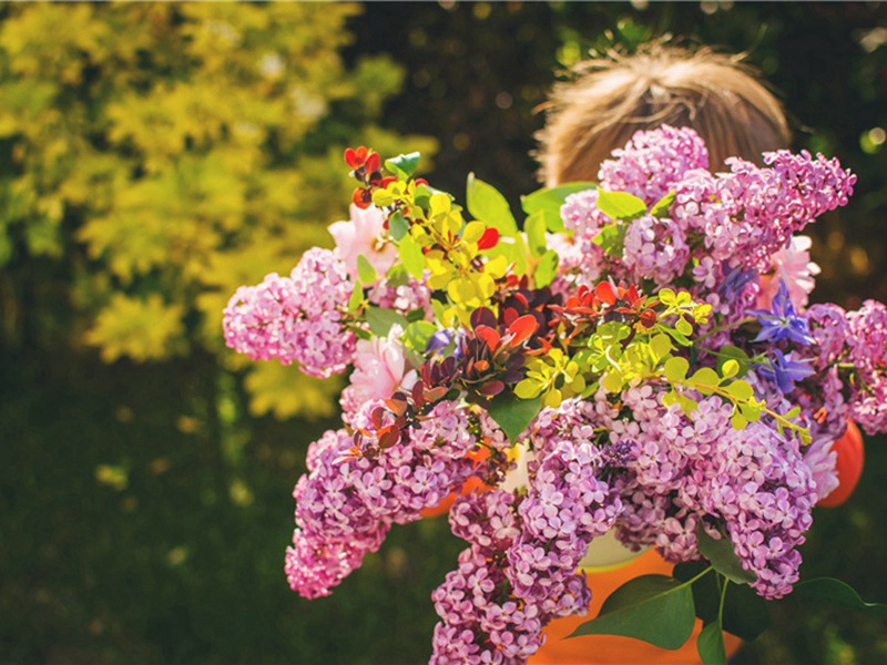 很美造句,用很美怎么造句子(180句)