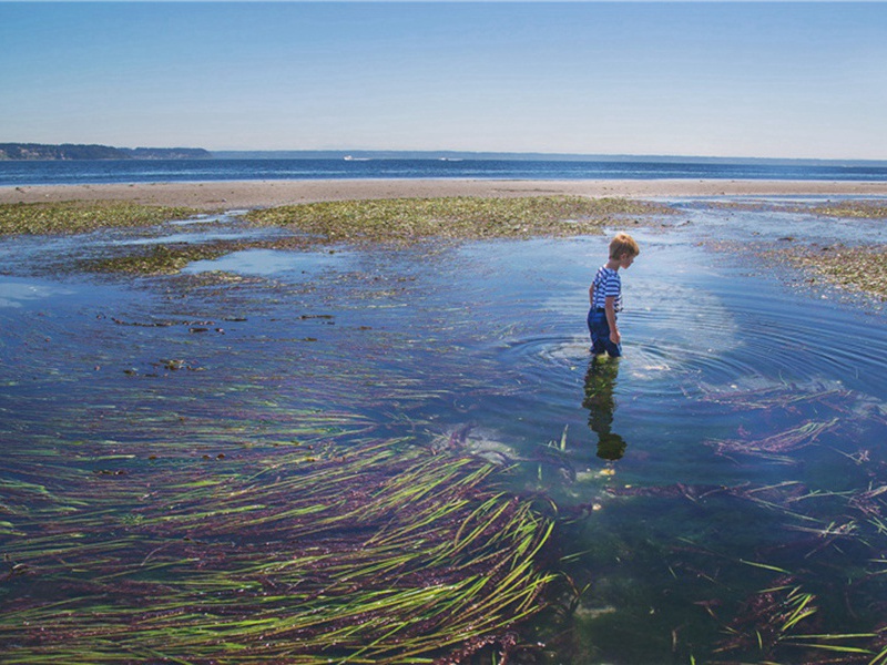 亦非造句,用亦非怎么造句子(122句)