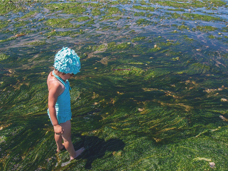 摆在造句,用摆在怎么造句子(163句)