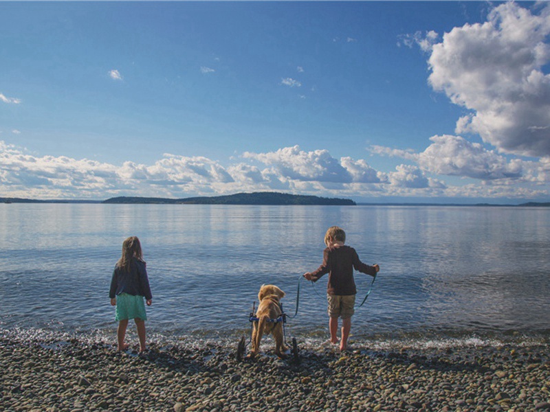 图符造句,用图符怎么造句子(38句)