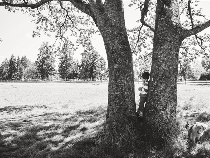 专注造句,用专注怎么造句子(179句)