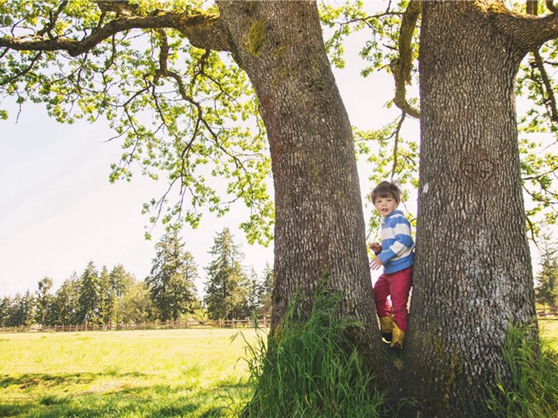 得心应手造句,用得心应手怎么造句子(131句)