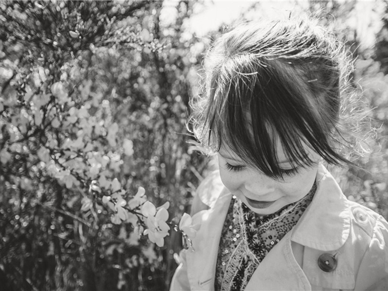 风雨飘摇造句,用风雨飘摇怎么造句子(93句)