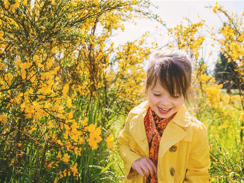 粉身碎骨造句,用粉身碎骨怎么造句子(127句)