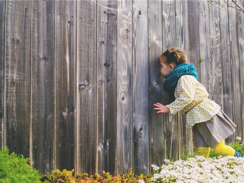 驾驶舱造句,用驾驶舱怎么造句子(60句)