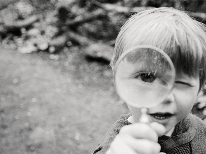 仲春造句,用仲春怎么造句子(42句)