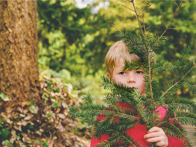 出谋造句,用出谋怎么造句子(132句)
