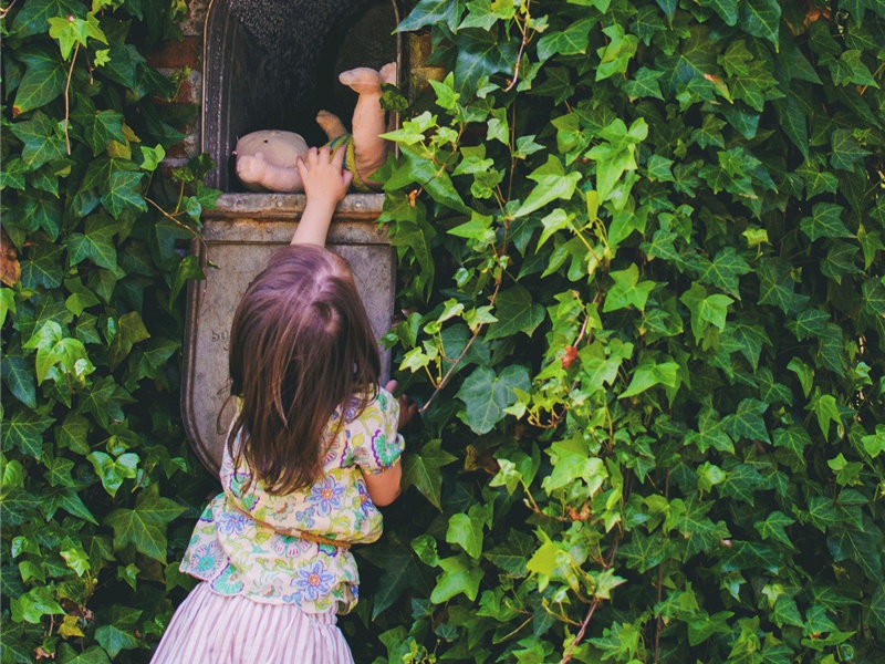 饿其体肤造句,用饿其体肤怎么造句子(29句)