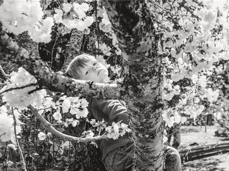 我们应该造句,用我们应该怎么造句子(180句)