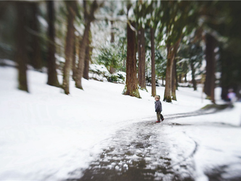 师道造句,用师道怎么造句子(72句)