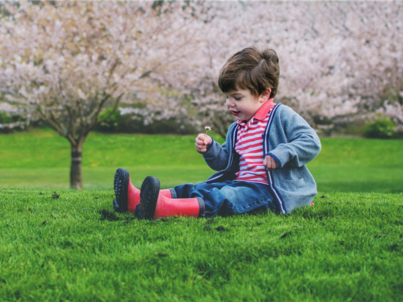 岂有此理造句,用岂有此理怎么造句子(43句)