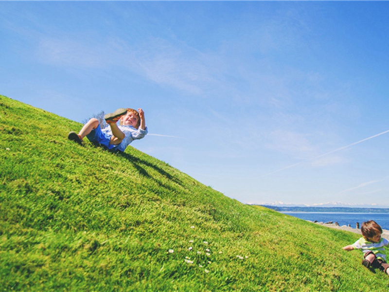 句式造句,用句式怎么造句子(91句)