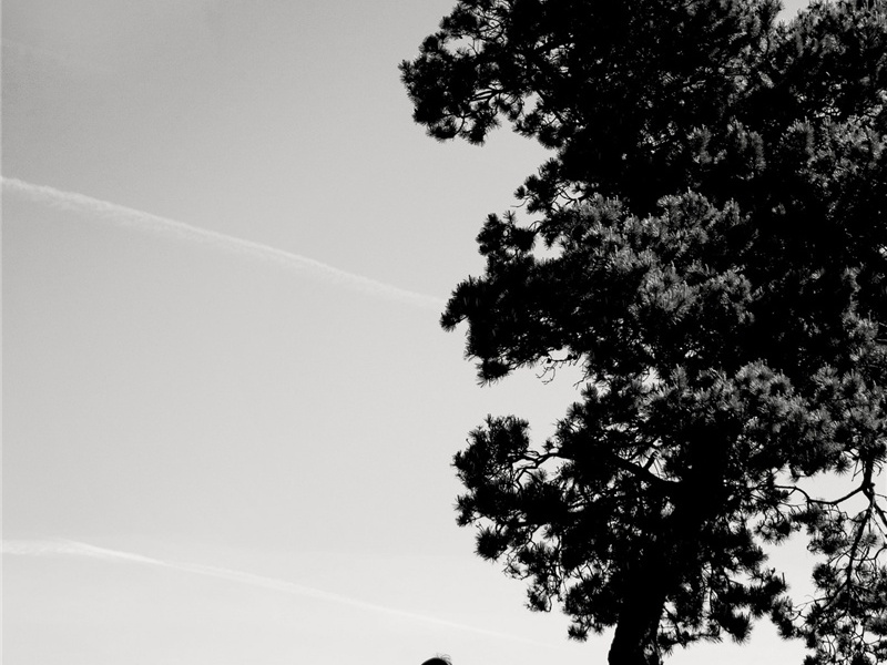 间的造句,用间的怎么造句子(180句)