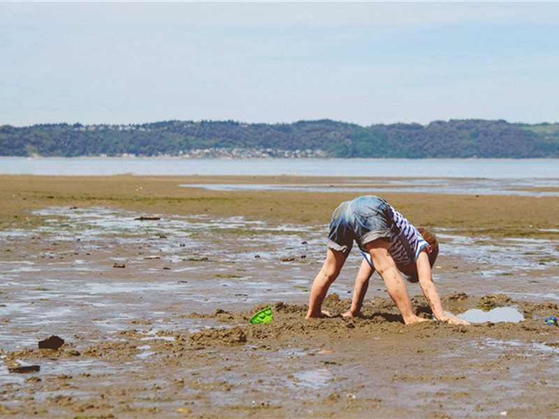 家喻户晓造句,用家喻户晓怎么造句子(180句)