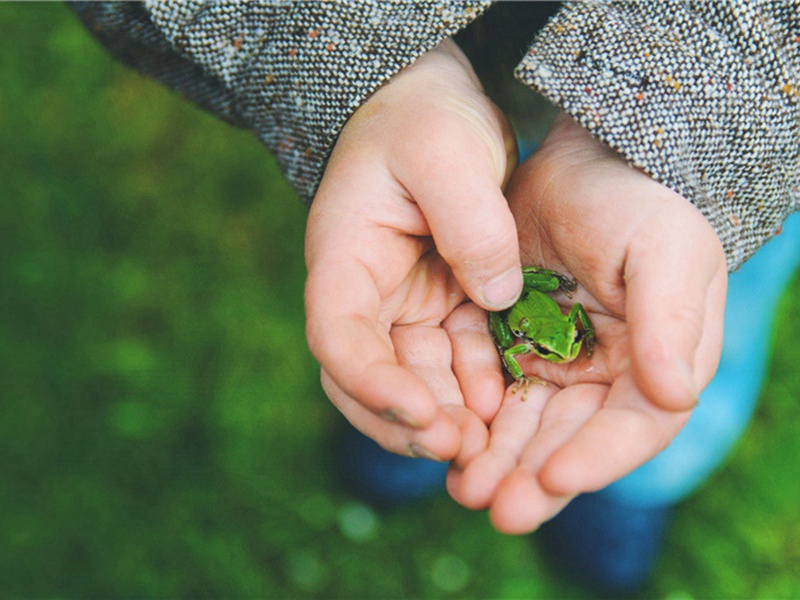 引导造句,用引导怎么造句子(180句)