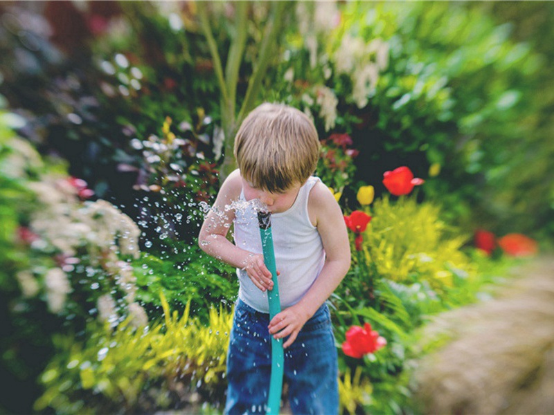 增收造句,用增收怎么造句子(180句)