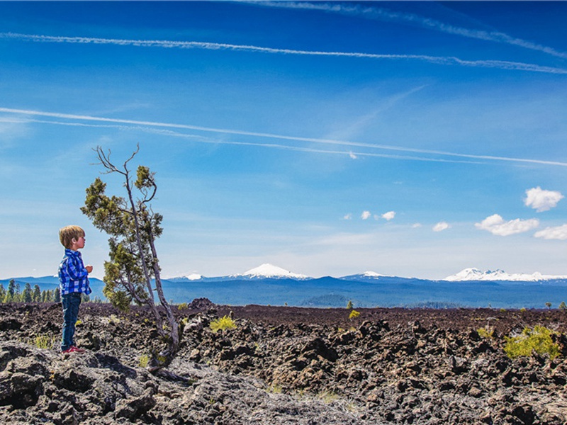 养尊处优造句,用养尊处优怎么造句子(86句)