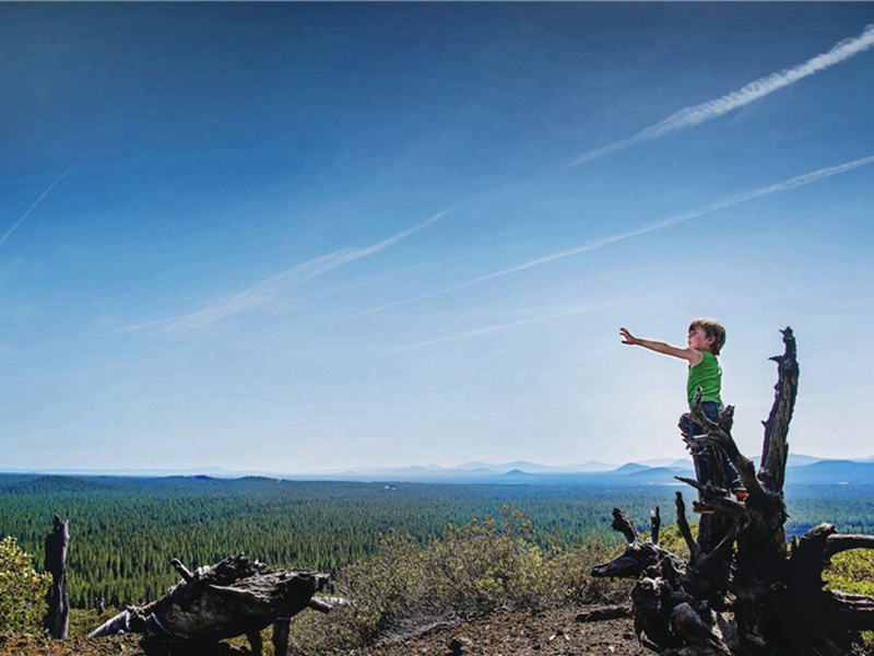 在里面造句,用在里面怎么造句子(180句)
