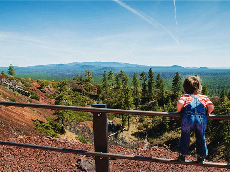 机不可失造句,用机不可失怎么造句子(67句)