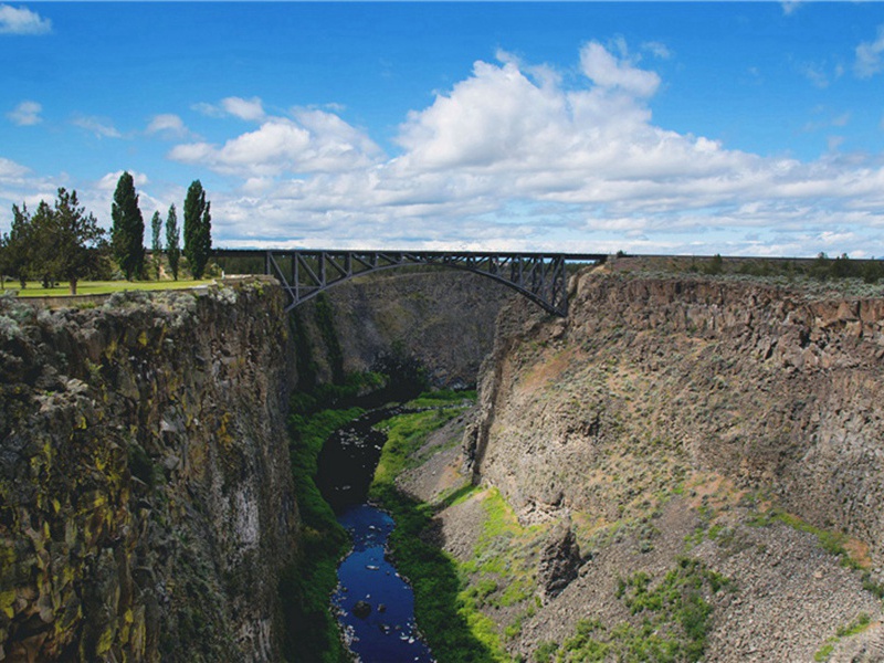 限制造句,用限制怎么造句子(158句)