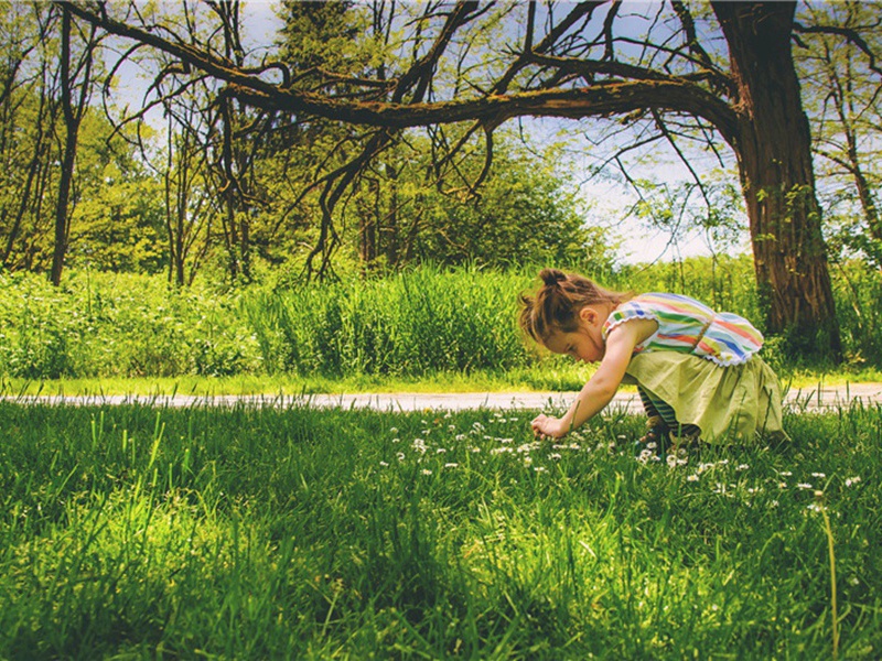 不共造句,用不共怎么造句子(90句)