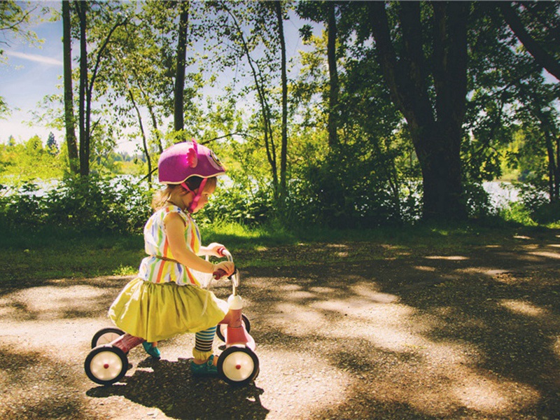 大榕树造句,用大榕树怎么造句子(39句)