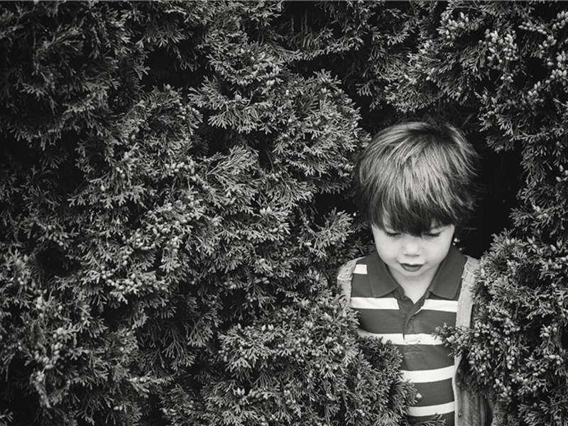 和平使者造句,用和平使者怎么造句子(24句)