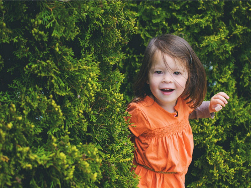 不再有造句,用不再有怎么造句子(180句)