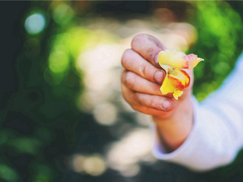 瑞祥造句,用瑞祥怎么造句子(53句)