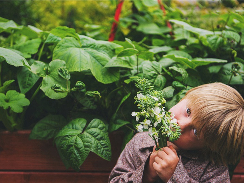 不管是谁造句,用不管是谁怎么造句子(53句)