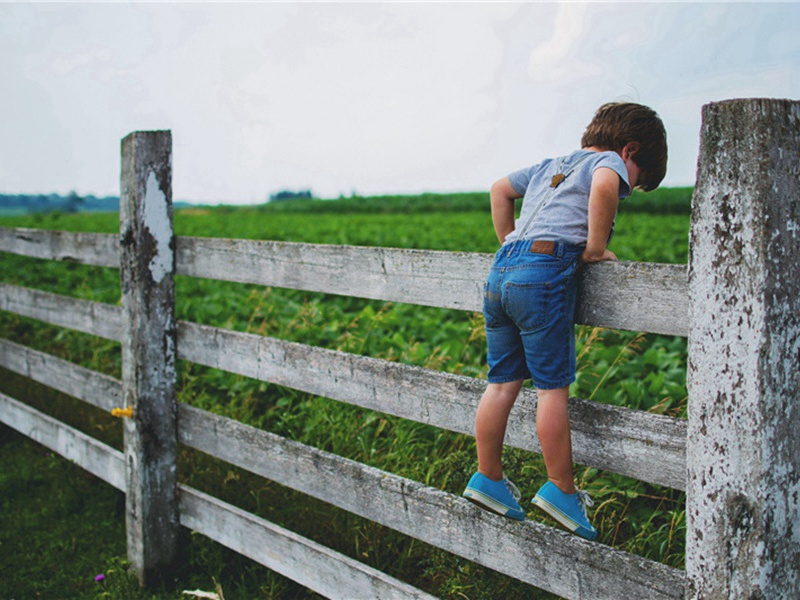 破击造句,用破击怎么造句子(31句)