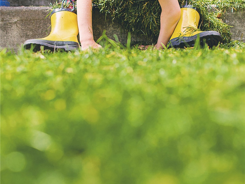 轻佻造句,用轻佻怎么造句子(46句)