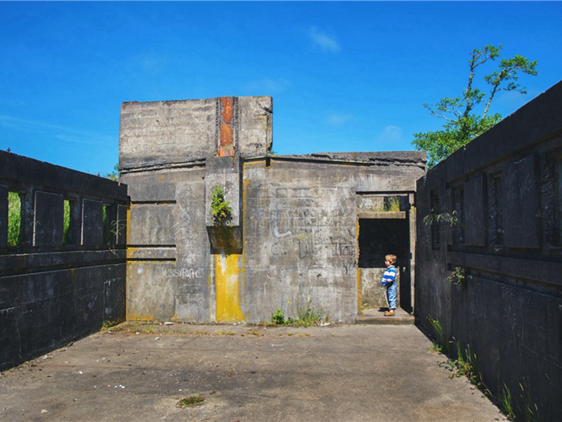 向心造句,用向心怎么造句子(99句)