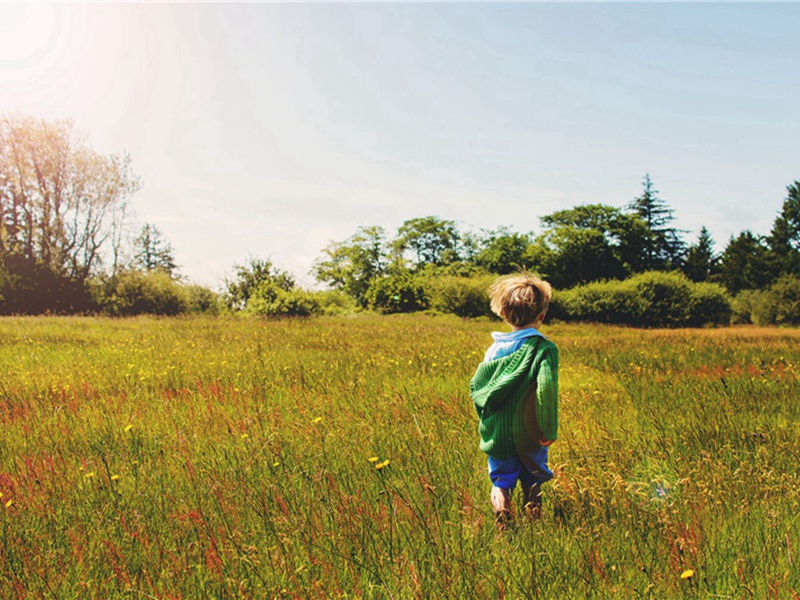 纸醉造句,用纸醉怎么造句子(95句)