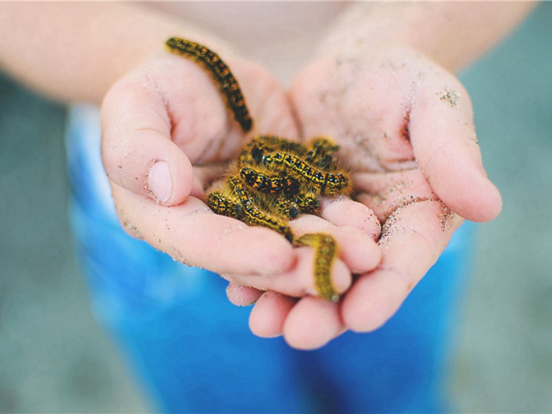 河北省造句,用河北省怎么造句子(179句)